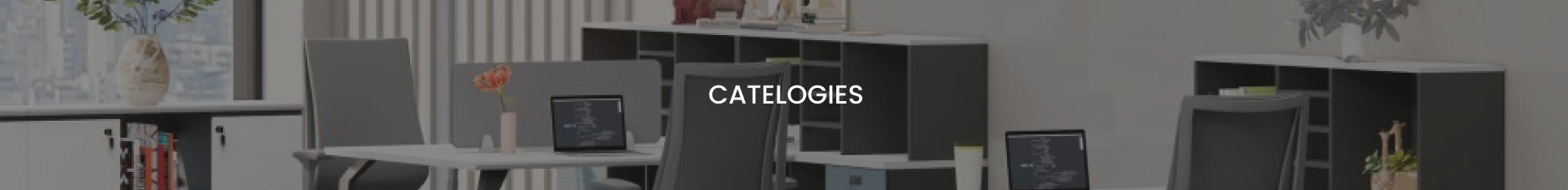 pink blank (1216*360)