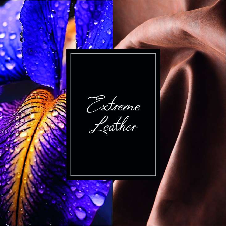 MTB COLL EXTREME LEATHER  EDP 