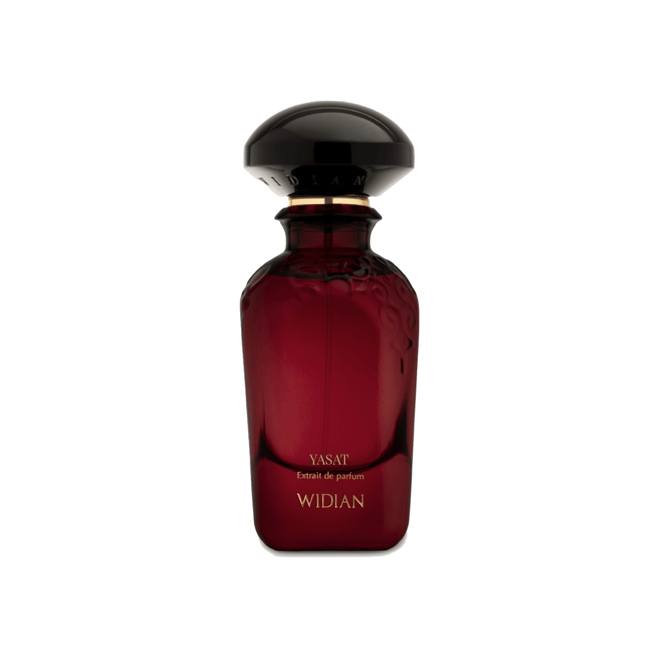 ياسات نيو لانش