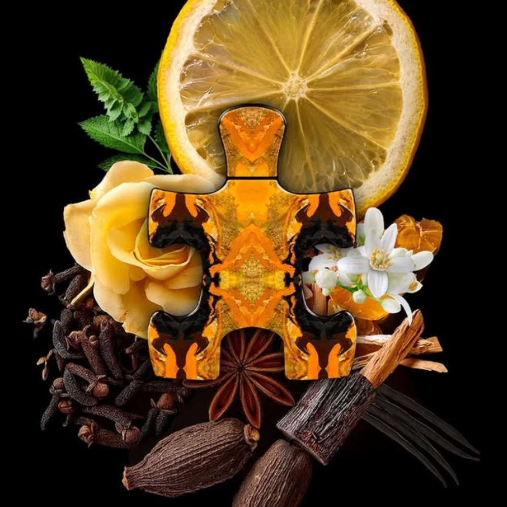 بازل دايلايت