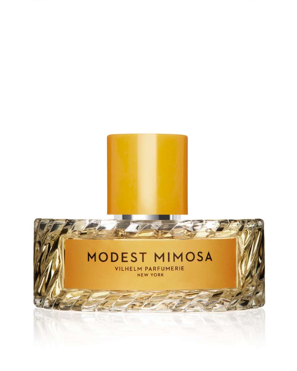 مودست ميموزا