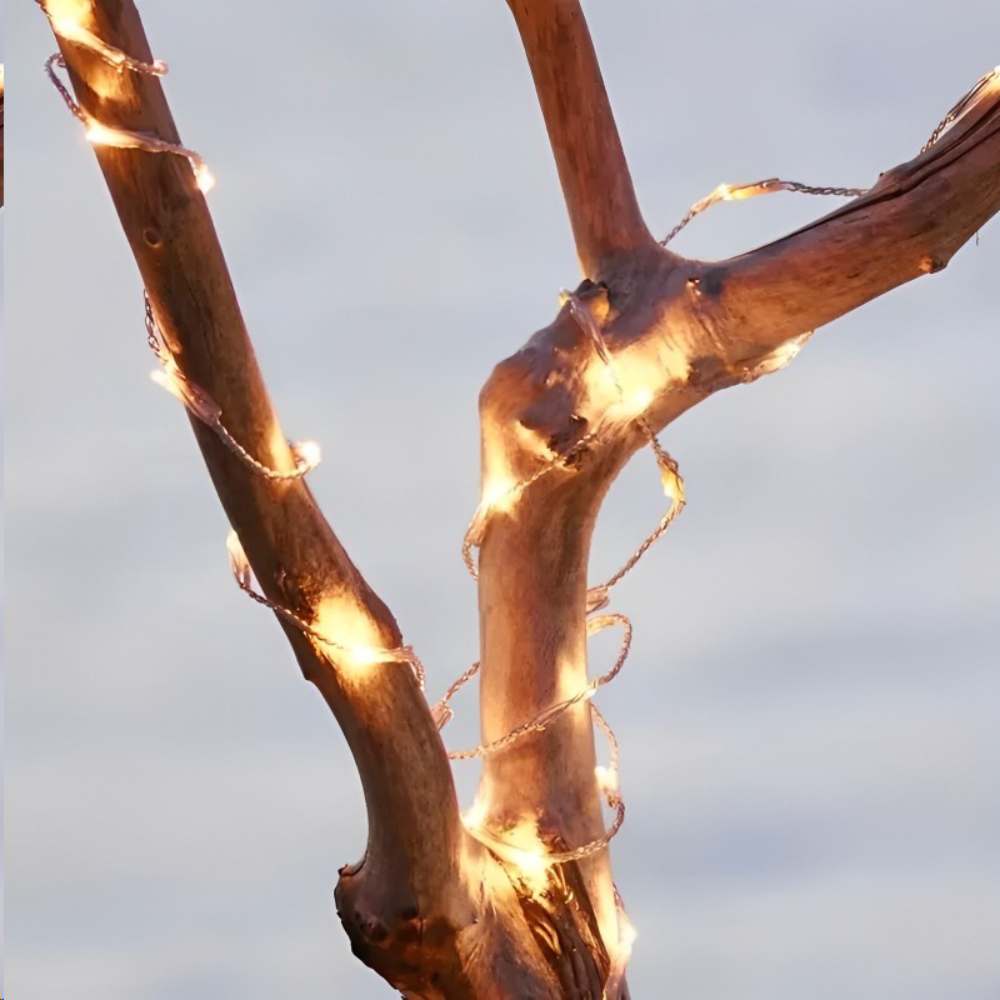 SIRIUS جاسون شريط إضاءة LED مع 40 لمبة